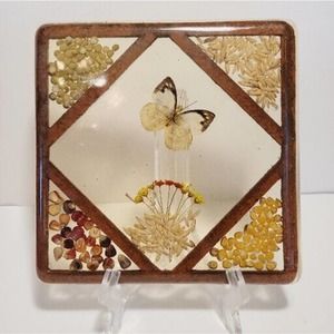 VTG Lucite Trivet Butterfly Taxidermy MCM Dried Flowers Wall Hanging Boho Chic🏵